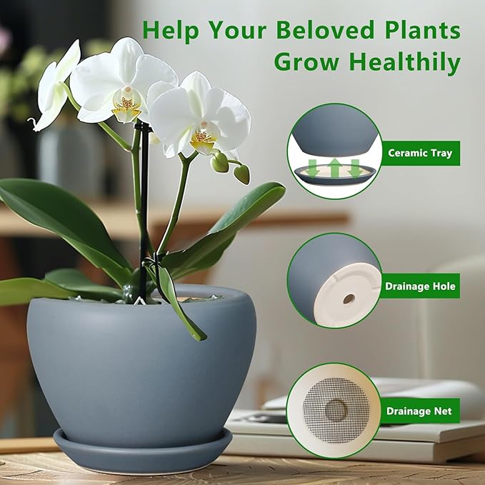 Ceramicfor 10 Inch Plant Pot - Ceramic Planter for Indoor Plants Large Plant Pot with Drainage Hole and Saucer Round Outdoor Planter Modern Flower Pot for Home Decor Gray