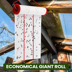 Qualirey Giant Sticky Fly Traps, Fly Strips for Indoor Outdoor Hanging Flying Tapes Non Toxic Ribbon Fruit Gnat Killer for Mosquito Plants House Horse Stable(295.3ft,White,10 Pcs)