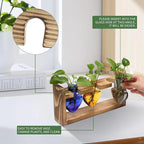 Plant Terrarium Propagation Stations Hydroponics Home Garden Decoration Gift for Women with Wooden Stand Heart Shaped Colored Glass Vase