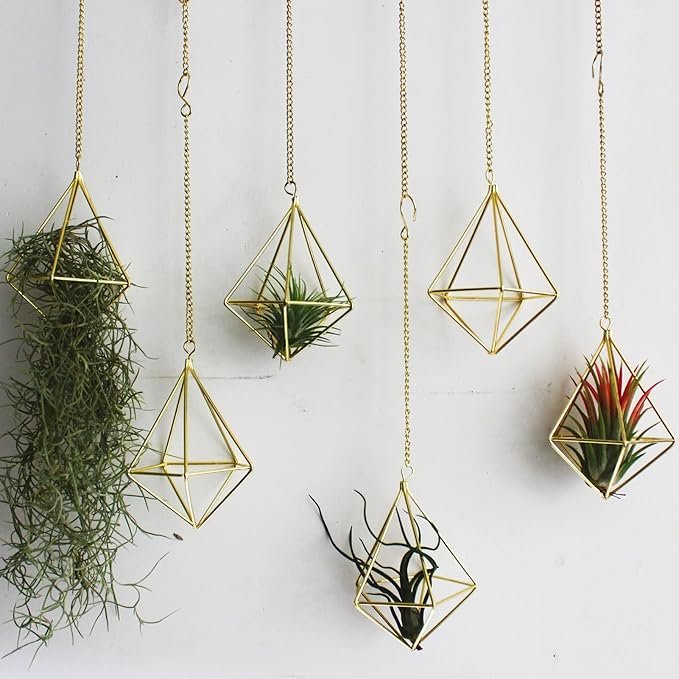 ZOOELAY Air Plants Live Holders 6 Pcs Glod Diamond Hanging Planter Small Air Plant Holders Unique with Chains Air Ferns Tillandsia Display for Indoor