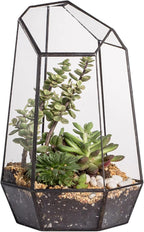 NCYP No Door Geometric Glass Terrarium Planter for Small Succulent, Small Cacti, Black Irregular Opened Terrarium Pot, Indoor Home Garden Office Tabletop Decor, 6.5" x 5.7" x 9.8" (No Plants)