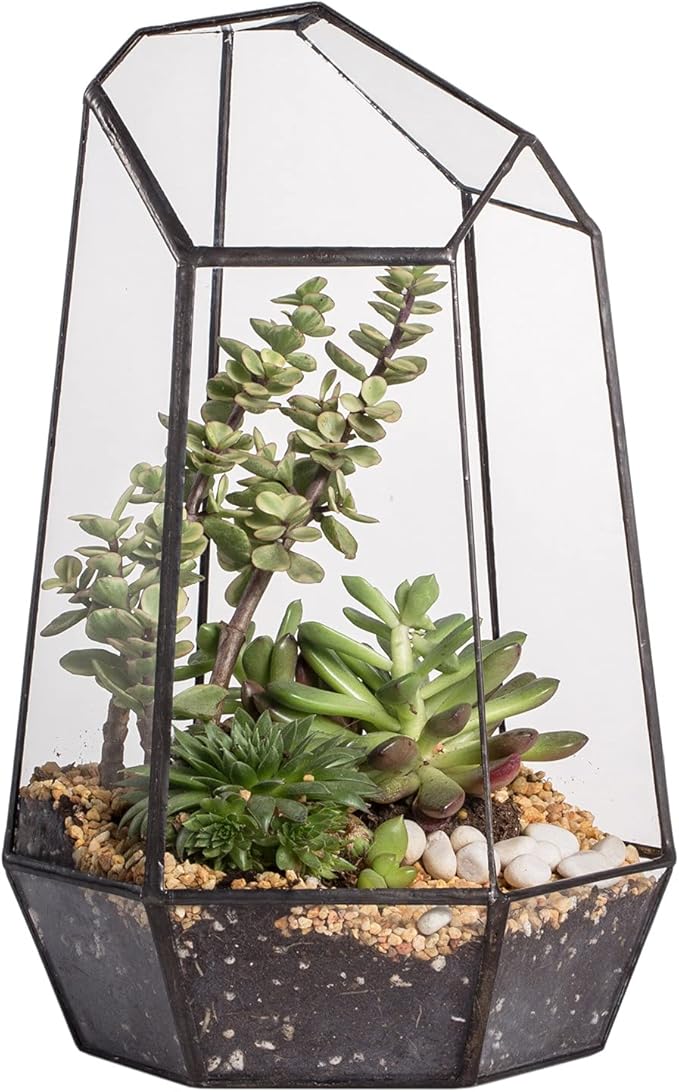 NCYP No Door Geometric Glass Terrarium Planter for Small Succulent, Small Cacti, Black Irregular Opened Terrarium Pot, Indoor Home Garden Office Tabletop Decor, 6.5" x 5.7" x 9.8" (No Plants)