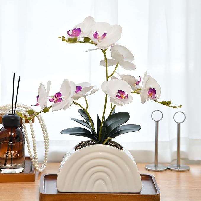 Fake Orchid Plant in White Rainbow Pot, Artificial Silk Phalaenopsis Orchid Flowers for Home Décor, Table Centerpiece, Office Desk (White)