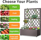 Metal Planter Box with Privacy Screen Trellis,Galvanized Raised Garden Bed On Wheels for Climbing Plants Vines, Standing Garden Flower Bed with Drainage Holes(Espresso, 35" L x16 W x 55" H)