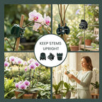 100 Pcs Standard Orchid Clips - 0.7-inch Max Opening, Dark Green Plant Support Clips, Gentle Hold with No Damage for Phalaenopsis and Small-Medium Stems