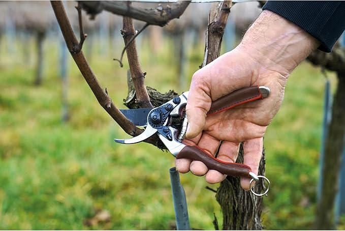 FELCO 8 ELITE Pruning Shears – 8.3" Swiss-Made Garden Clippers with Leather-Wrapped Handle for Large Right Hand | Hand Pruners for Gardening | Garden Tool Cutter with Bypass Blade, Carbon Steel