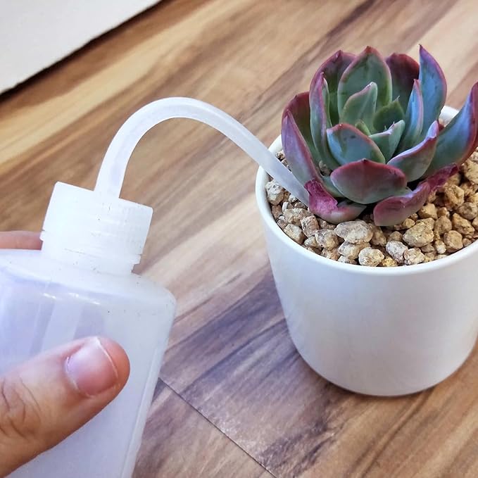Succulent Tools Set,Plant repotting kit,repotting kit,Succulent Tools,Indoor Plant Tools,Succulent Tool kit,houseplant Tools,Plant Care kit,Indoor Plant Care kit, (Set of 8)