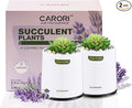 2 Pack Artificial Succulent Plants with Subtle Lavender, Faux Indoor Plants for Home Decor, Small Fake Plant for Bathroom, Bedroom, Office Decor, Aesthetic Room Accessories, Housewarming Gift