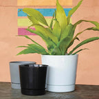 Root & Vessel Majestic Full Depth Round Cylinder Pot, Glossy Gray, 14-Inch (10140)