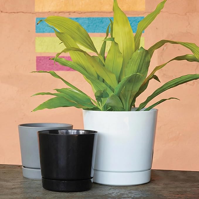 Root & Vessel Majestic Full Depth Round Cylinder Pot, Glossy Gray, 10-Inch (10100)