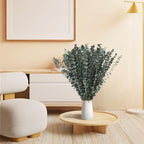 24 PCS Real Dried Eucalyptus Stems for Shower Hanging-17'' Large Preserved Plants Shower Plants Shower Stuff for Shower Decor, Fresh Eucalyptus Leaves, Fragrance, Bathroom Vase Decor