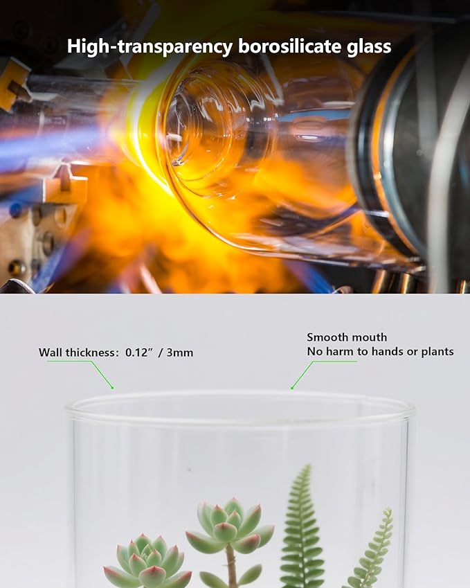 Desktop Glass Terrarium with Grow Light (7.5" H x 5.9" D) - for Succulents, Moss, Mini Gardens, Betta Fish Tanks, Mushroom Cultivation | Indoor Plant Growth | Office/Home Decor | Plant Lover Gifts