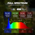 Barrina TR40a Track Grow Light for Indoor Plants, 40W Wall-Mounted Grow Bulbs with Adjustable Beam Angle (15°-60°), 5000K Full Spectrum Plant Spotlight with Timer & 16.4' Power Cord, 1-Pack