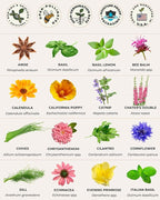 35 Tactiko Edible Flower & Herb Seeds Kit Variety - USA Grown Heirloom Non-GMO Open-Pollinated Seeds for Planting - Indoor Outdoor Gardening - Survival Long-Term Storage - Resealable Mylar Bag