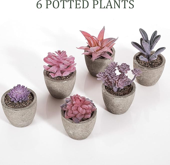 Set of 6 Artificial Succulents Potted - Realistic Mini Fake Cactus Plants in Paper Pulp Pots, 2-4'' Mixed Sizes for Farmhouse Shelf, Bathroom, Coatrack Shelf, Bedroom Indoor(Elegant Style)