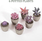 Set of 6 Artificial Succulents Potted - Realistic Mini Fake Cactus Plants in Paper Pulp Pots, 2-4'' Mixed Sizes for Farmhouse Shelf, Bathroom, Coatrack Shelf, Bedroom Indoor(Elegant Style)