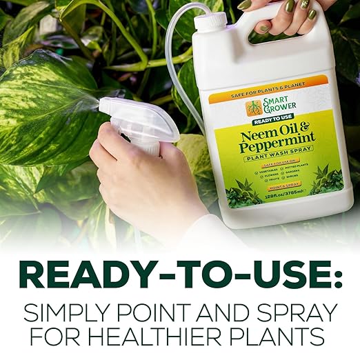 Neem Oil Spray for Plants with Peppermint Oil 128oz with Trigger Sprayer, Natural Plant Wash Made for Indoor and Outdoor Plants - 128oz Smart Grower