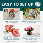 Blumat Classic Self-Watering Stakes - Prevents Overwatering and Underwatering for Healthy Growth While You are Away - Ideal for Indoor Plant Watering, 3 Pack, wo Adapter