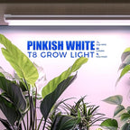 Barrina LED Grow Lights, Full Spectrum, 180W(6 x 30W, 1000W Equivalent), 3ft Grow Light Strips, T8 Grow Light Bulbs, Plant Lights for Indoor Plants, Greenhouse, Pinkish White, Linkable Design, 6-Pack