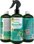 GARDENWISE Organic Marina Mist Foliar Spray for Money Tree | Liquid Fertilizer | Micro Nutrients for Vital Health | Liquid Plant Food (8 OZ)