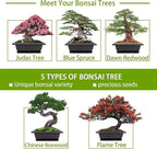 Meekear Bonsai Tree Kit with Complete Plant Growing Tools, Grow in Pot Indoor Bonsai Tree Starter Kit, Home Gardening DIY Gift for Adult