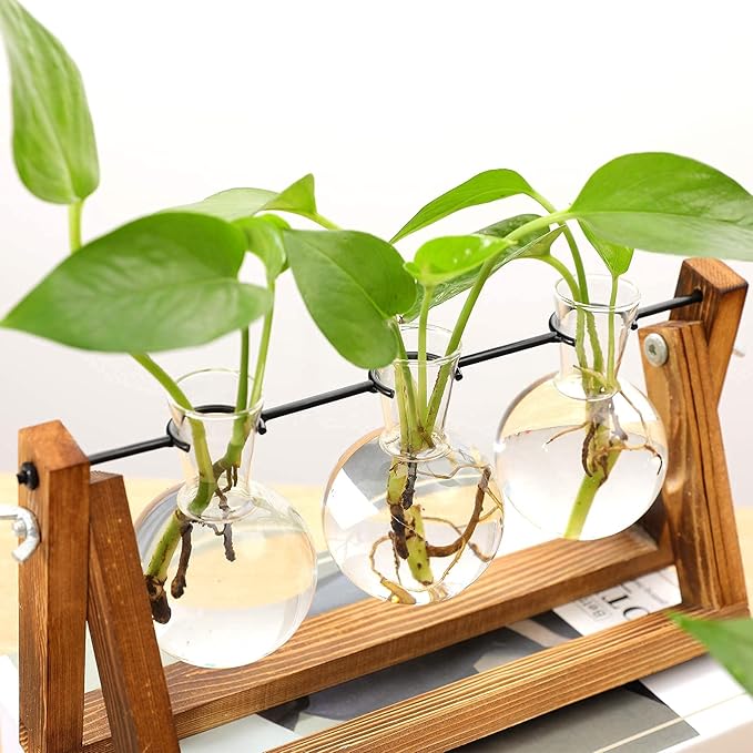 Kingbuy Desktop Glass Planter Iron and Wooden Stand Plant Terrariums for Indoor Office Desk Decor Accessories, 3 Bulb Vases, Brown