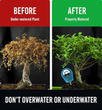 GROWIT Soil Water Monitor for Plants - Soil Moisture Meter | Hydrometer for Plants | Plant Moisture Meter Houseplants | Water Tester for Plants | Farming Indoor and Outdoor Plants-Teal