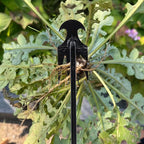 Garden Weed Pulling Tool Uprooting Weeding Tool, 4 Teeth Weed Puller Tool Manganese Steel Garden Weeder Tool for Vegetable Gardening Planting (Black, 2 Pack, 16 inches)