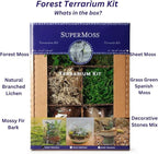 SuperMoss (90421) Terrarium Kit, 8 oz, Forest