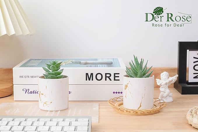 Der Rose Set of 2 Succulents Plants Artificial Mini Fake Succulents Plants for Home Office Desk Accessories for Women