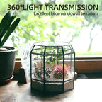 REDHUGO Large Glass Terrarium Handmade, Centerpiece Display Box Gift Planter Containers Indoor Terrariums House for Succulent Cacti Air Plants Miniature Fairy Garden