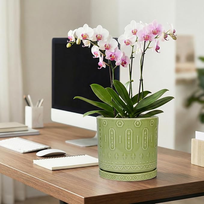 Ceramic Pots for Plants, 8 Inch Plant Pot with Drainage Hole and Tray, Round Planters for Indoor Plants, Modern Flower Pot, Decorative Planter, Living Room Decor, Gardening Gifts, Green