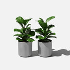 Veradek Demi Series Round Planter for Porch, Patio, Backyard | Durable Plastic-Stone Composite Material | Modern Décor for Tall Plants, Flowers