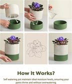 Fayoula Self Watering Pots for Indoor Plants, 6 Inch Ceramic Self Watering Plant Pot, Planter Pot with Wick Rope and Drainage Hole for African Violet Succulent Herbs (White Matte)