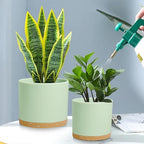 Large Plant Pots Set of 3 – 8", 9", 10" Indoor Flower Pots with Drainage Holes and Saucers, Big Planters for Monstera, Fiddle Leaf Fig, Snake Plant – 5 Colors