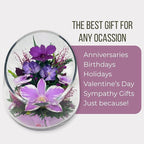 Fiora Flower Elegant Orchid Arrangement in Glass Vase | Preserved Real Orchids Lasting 5 Years | Ideal for Home Decor or Romantic Gift