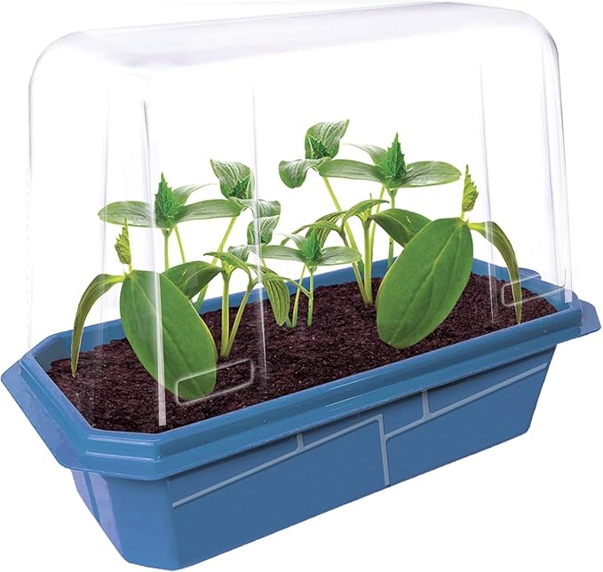 Unique Gardener Slicing Cucumber Plant Seeds Kit, Grow Healthy Tasty Veggies Indoors Includes Everything Needed, Indoor Live Plants for Easy Home Gardening, Just Add Water