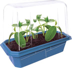 Unique Gardener Slicing Cucumber Plant Seeds Kit, Grow Healthy Tasty Veggies Indoors Includes Everything Needed, Indoor Live Plants for Easy Home Gardening, Just Add Water