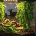 PINVNBY 8 PCS Reptile Plants Terrarium Decor Hanging Fake Vines with Suction Cup Artificial Leaves Bearded Dragon Tank Accessories for Lizards Geckos Snake Hermit Crab