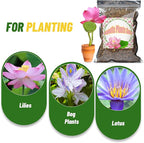 Doter Aquatic Soil for Plants - 2.2LBS, Clay Aquarium Soil Suitable for Small Ponds & Water Plants Like Lotus & Water Lily, Safe for Fish & Aquatic Life (Pack of 2)