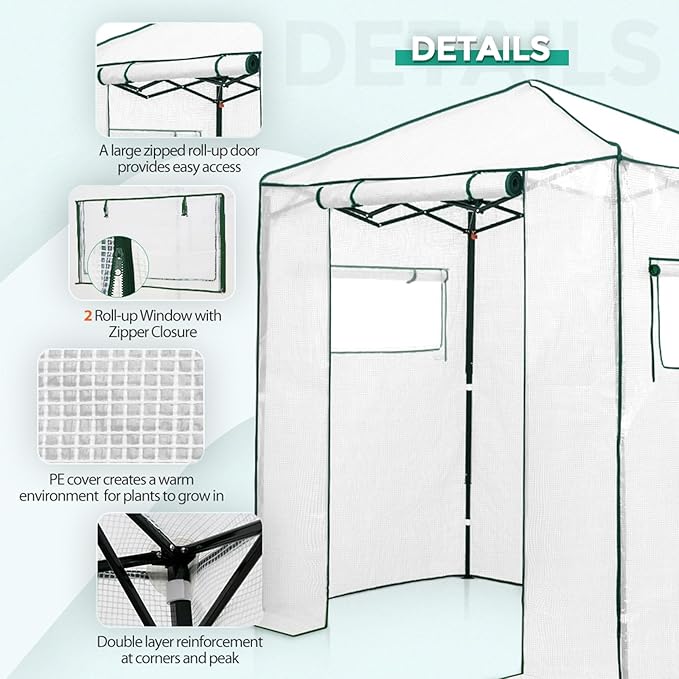 EAGLE PEAK 6x4 Portable Walk in Greenhouse, Pop Up Indoor Outdoor Greenhouse, Green House Kit with Zippered Roll-Up Doors and Windows, PE Cover, Clear/White