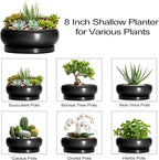 Succulent Planters 8 Inch - Ceramic Bonsai Pots for Indoor Outdoor, Round Succulent Pots with Drainage Hole and Saucer, Modern Shallow Planter Bowl, Garden Home Decor, Birthday Gifts, Black