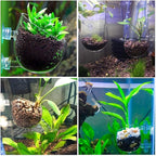 Carpetsma Aquarium Plant Pot, Glass Fish Tank Plants Holder - Aquarium Planter with 2 Suction Cups for Fish Tank Decor - 1 Pack