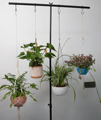 Chain for Hanging Plants,25 Inch Gold Hanging Chain,Hanging Basket Chain Kits with Hooks for Bird FeederHanging Plant Extender Porch Wind Chime (Gold, 25 Inch-4PCS)