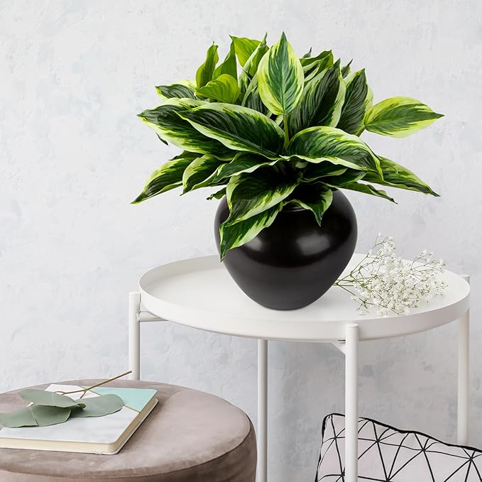 4Pcs 17.7inch Artificial Halcyon Hosta Perennial Plants Faux Green Dieffenbachia Plant Greenery Aesthetic House Plants Outdoor Shrubs Indoor Office Yard UV Resistant Planter Filler