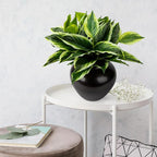 4Pcs 17.7inch Artificial Halcyon Hosta Perennial Plants Faux Green Dieffenbachia Plant Greenery Aesthetic House Plants Outdoor Shrubs Indoor Office Yard UV Resistant Planter Filler