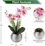 Briful Fake Orchid Fake Flowers 13'' Pink Orchids Artificial Flowers with Silver Ceramic Vase Faux Orchid for Home Office Decor Indoor
