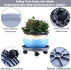 Planterhoma 6 Packs Plastic Plant Caddy with Casters 12” Plant Dolly Heavy Duty Rolling Plant Stand with Wheels for Indoor and Outdoor Large Heavy Plant Pot Rollers, Black and Grey