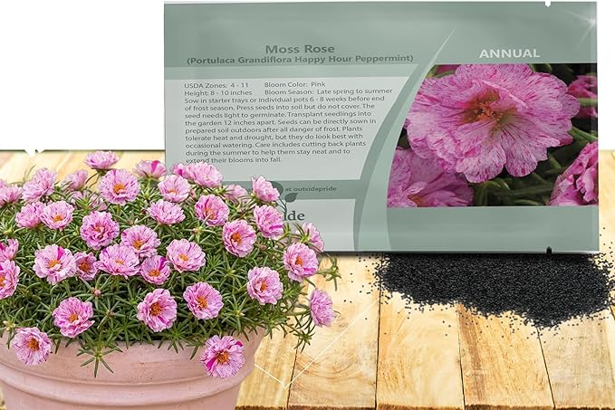 Outsidepride Peppermint Moss Rose Seeds - 500 Pcs Annual, Drought & Heat Tolerant, Pollinator Friendly Ground Cover Seeds for Planting w/Vibrant Blooms & Succulent Foliage, Ideal for Xeriscaping