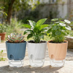 KIMCHOMERSE Self Watering Plant Pots 4.7 Inch, 3 Pack Indoor Planters with Drainage Holes & Saucers, Decorative Plastic Flower Pots for House Plants Home Office Decor (White, Pink, Blue)